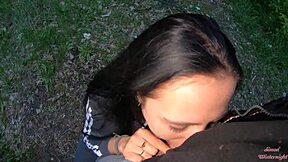 Want to see an evening park blowjob?