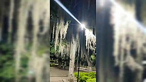 date with fan ends in ass licking!