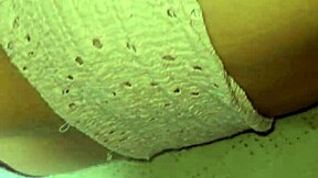 Employee enjoys intimate moment with big ass latina without condom