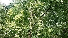 Masturbating In The River With A Voyeur Watching!