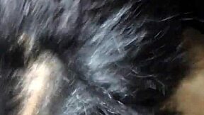 Teen sucking dick like a pro