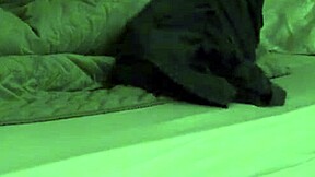 accidentally fucked step sis in bed, creampie