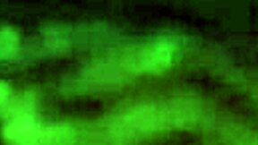 Petite ebony teen skipped school to fuck with her friend