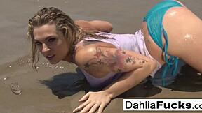 Hot Dahlia Sky's solo fun with pussy and tits 😍