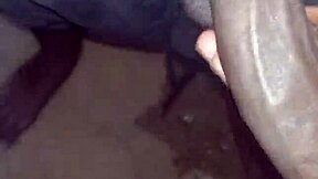 A quick moment in the abandoned bathroom