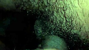 want to fuck for money?