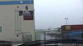 Teen hottie teases and masturbates with toys in the car