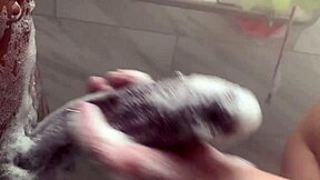 Big Step Sister Teases Step Brother With Monster BBC While Parents Are Away