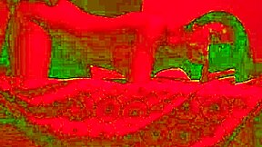 Passionate Birthday Dinner Leads to Intimate Encounter