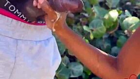 Encountering a Well-Endowed Black Man on Beach Leads to Sucking and Swallowing in Crazy Fetish