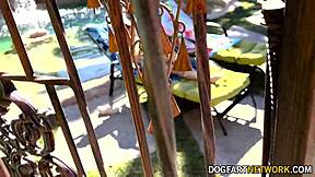 Little Nympho Coco Lovelock Gets BBC While On Vacation - Interracial Facial Surprise