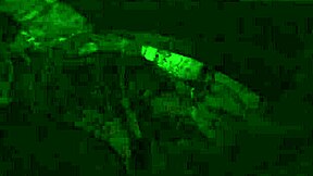 I joined this late night party where brunette and blonde teens started licking each other's pussies in wild lesbian action