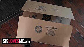 College bound stepbrothers surprise virgin stepsister with dildo play. Intense facial cumshot follows kinky sucking session.