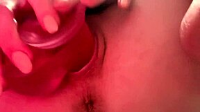 close-up view of the juiciest fresh fruit on display