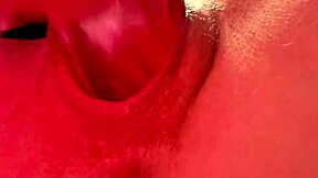 close-up view of the juiciest fresh fruit on display