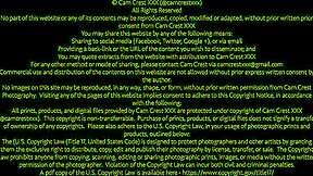 वित्तीय प्रभुत्व