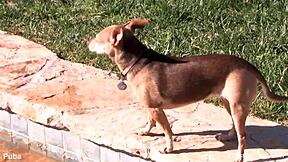 Vanessa Cage Teases Pussy And Tits Backstage!