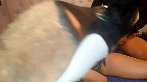 trailer for stepmom's best anal creampie with hung stepson pounding her juicy ass!