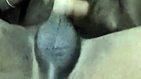 mzansi teen strokes his cock hard watching tv porn late night