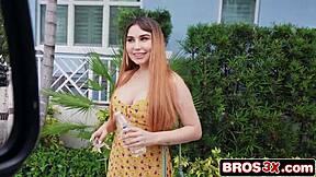 Huge Fake Tits Amateur Bang Bus Fuck