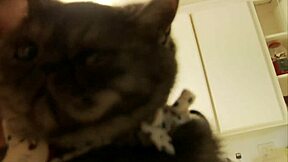 Redhead Faye Reagan Pounded By Dane Cross