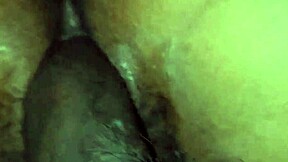 desi bhabhi's big pussy gets creamed by brother-in-law