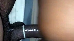 bald fat ebony teen flees that thick curvy black cock chase